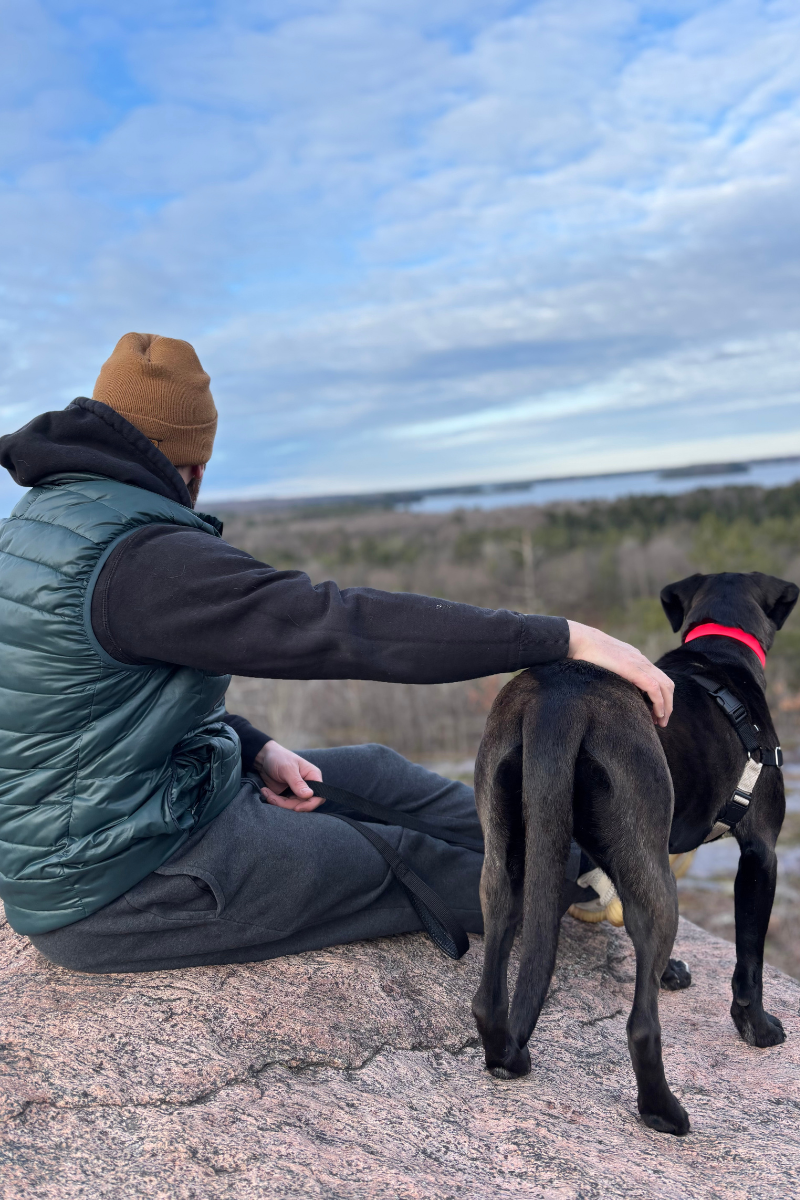 Person sitting on a rock with a dog, looking out over a scenic landscape.