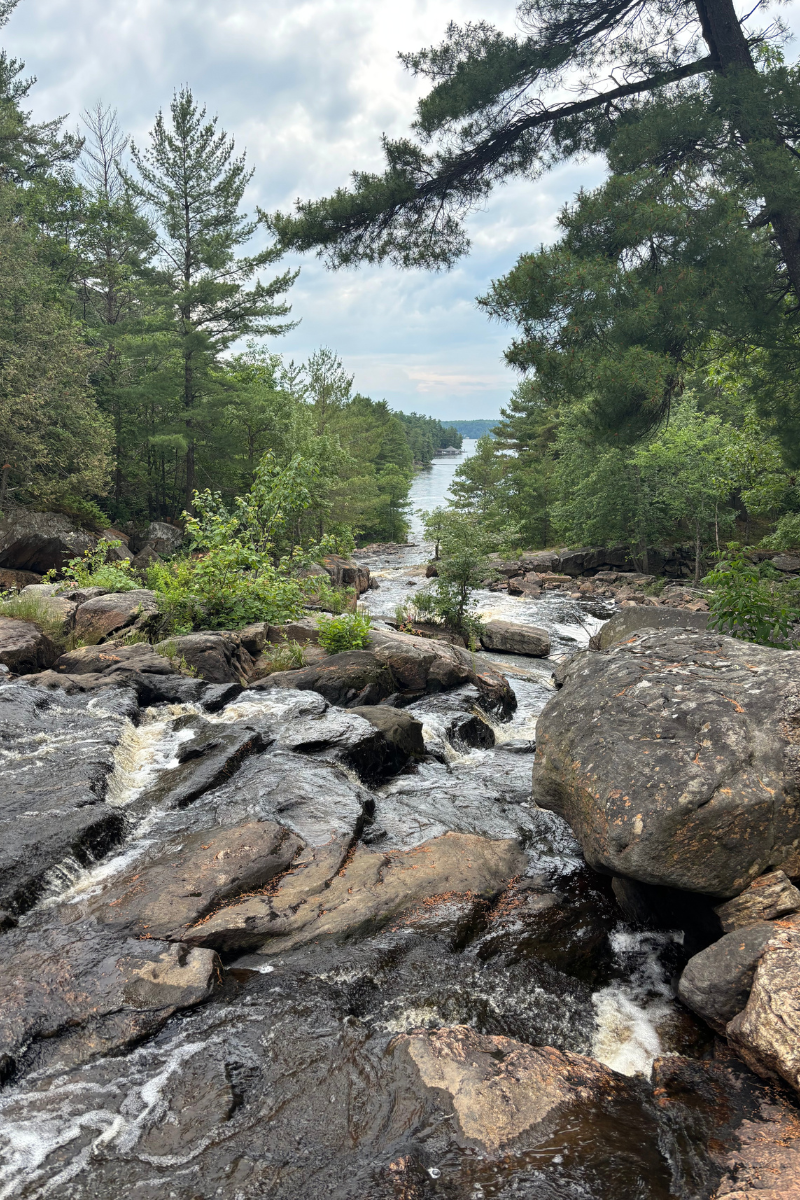 Raging river with large rocks and trees on a cloudy day